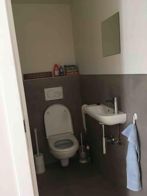 'Het T-Huisje' Volledig Ingerichte Studio Leuven Dış mekan fotoğraf